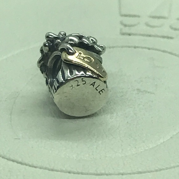 Pandora Jewelry Flower Bouquet Poshmark